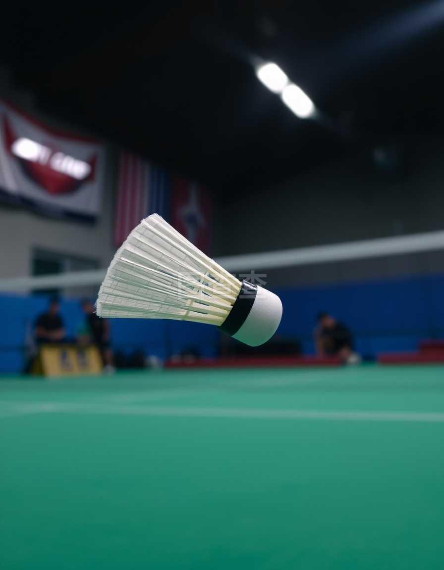 将是主教练 将是主教练