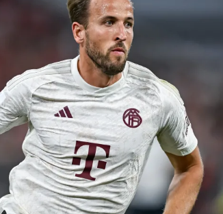 的热烈掌声 的热烈掌声